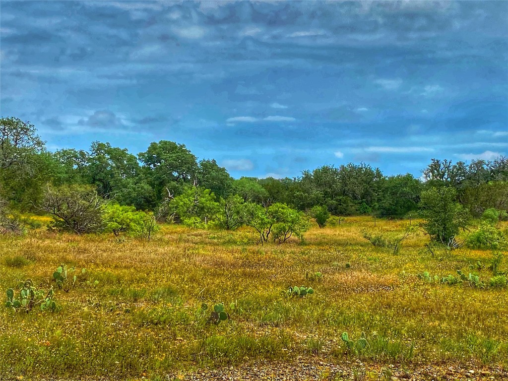 0 Cr 436 Rochelle Tx 76872 Rochelle, TX 76872 - Photo 18 of 31 a view of a field with an ocean