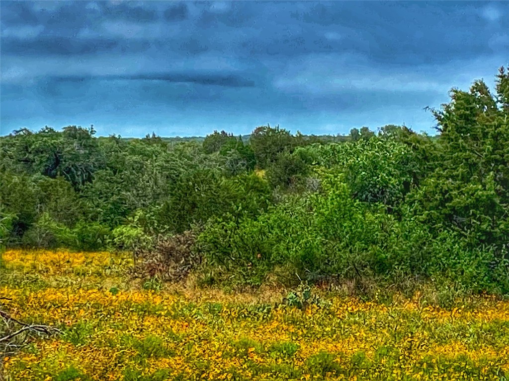 0 Cr 436 Rochelle Tx 76872 Rochelle, TX 76872 - Photo 21 of 31 a view of a yard