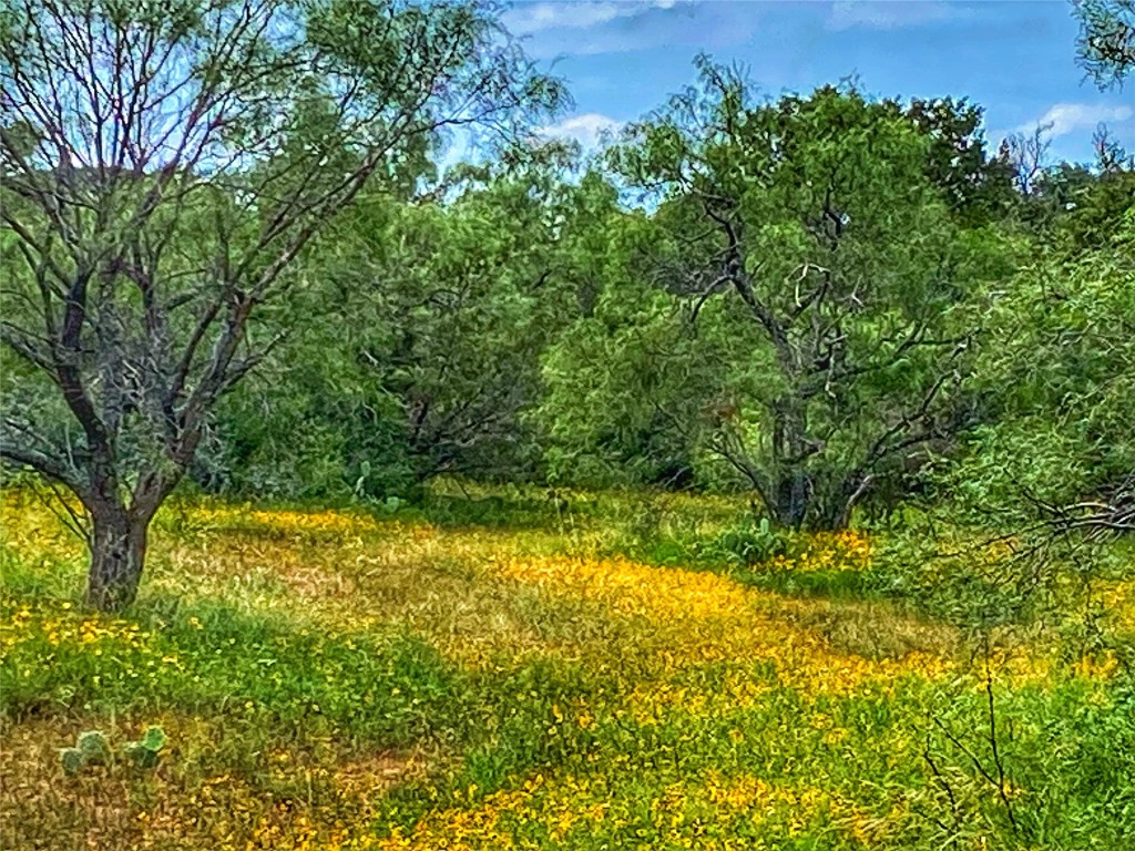 0 Cr 436 Rochelle Tx 76872 Rochelle, TX 76872 - Photo 23 of 31 a view of yard with green space