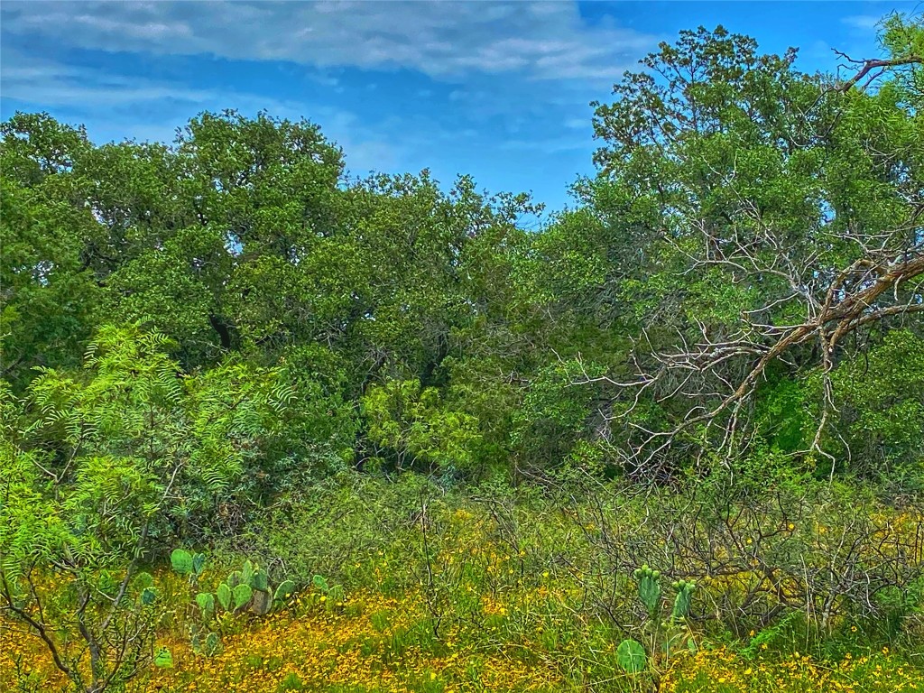 0 Cr 436 Rochelle Tx 76872 Rochelle, TX 76872 - Photo 29 of 31 a view of a lush green space