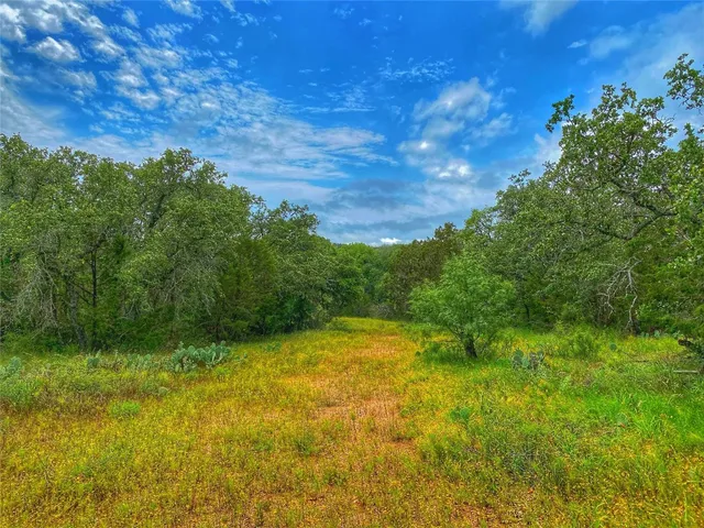 a view of a big yard with lots of green space