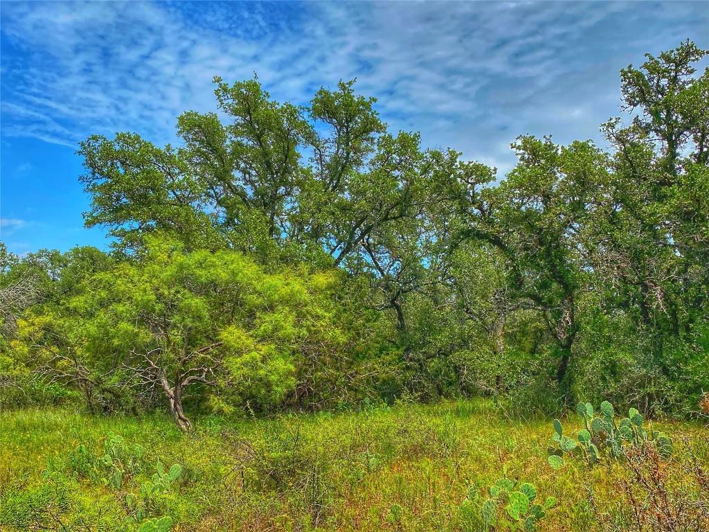 0 Cr 436 Rochelle Tx 76872 Rochelle, TX 76872 - Photo 7 of 31 a view of a lush green space