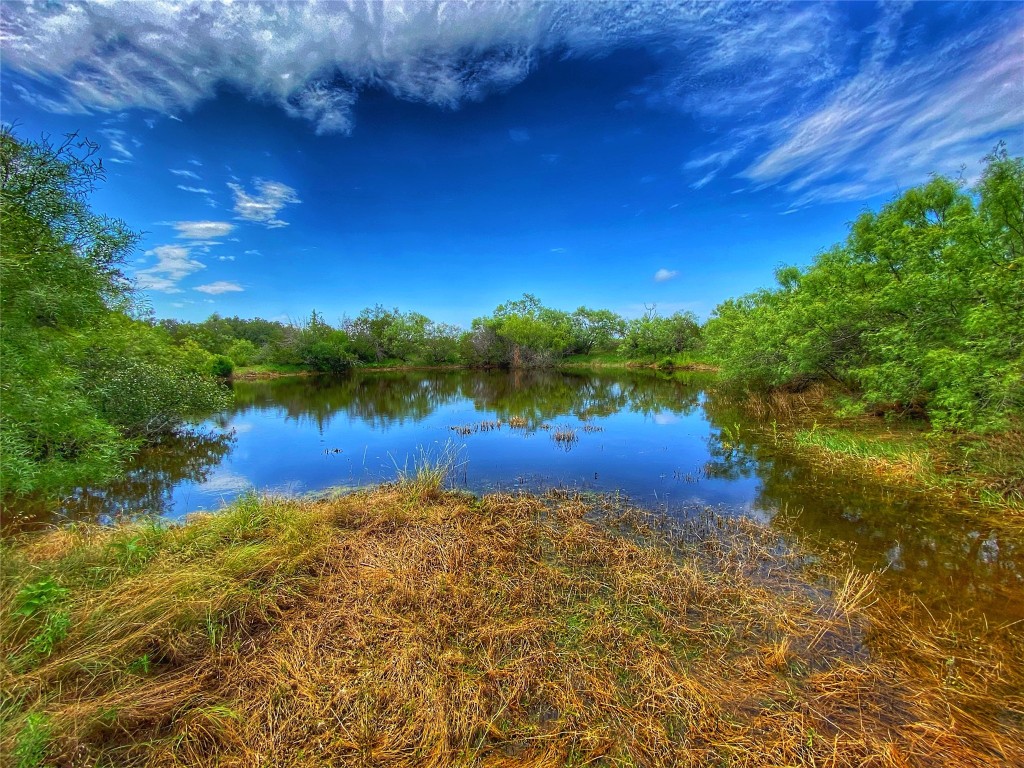 0 Cr 436 Rochelle Tx 76872 Rochelle, TX 76872 - Photo 8 of 31