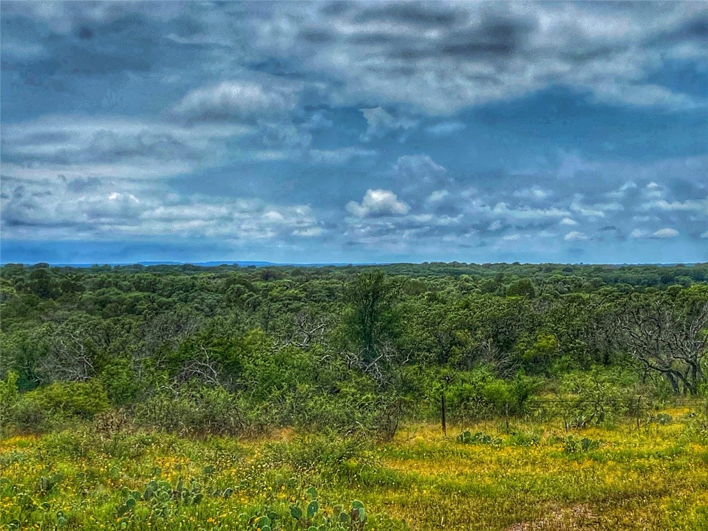 0 Cr 436 Rochelle Tx 76872 Rochelle, TX 76872 - Photo 9 of 31 a view of a yard