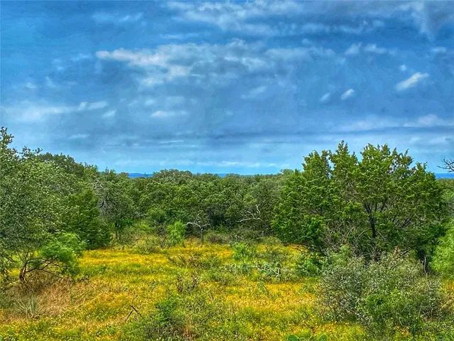 a view of a lake view with a garden