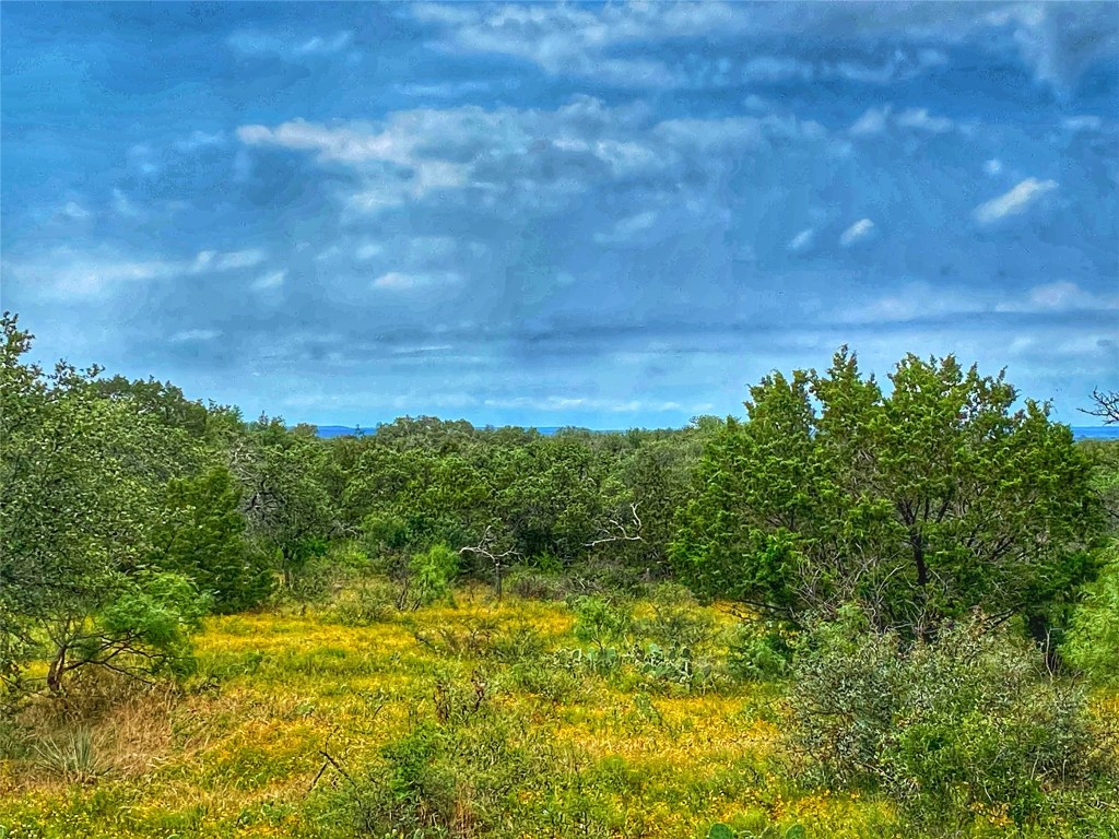 0 Cr 436 Rochelle Tx 76872 Rochelle, TX 76872 - Photo 10 of 31 a view of a yard
