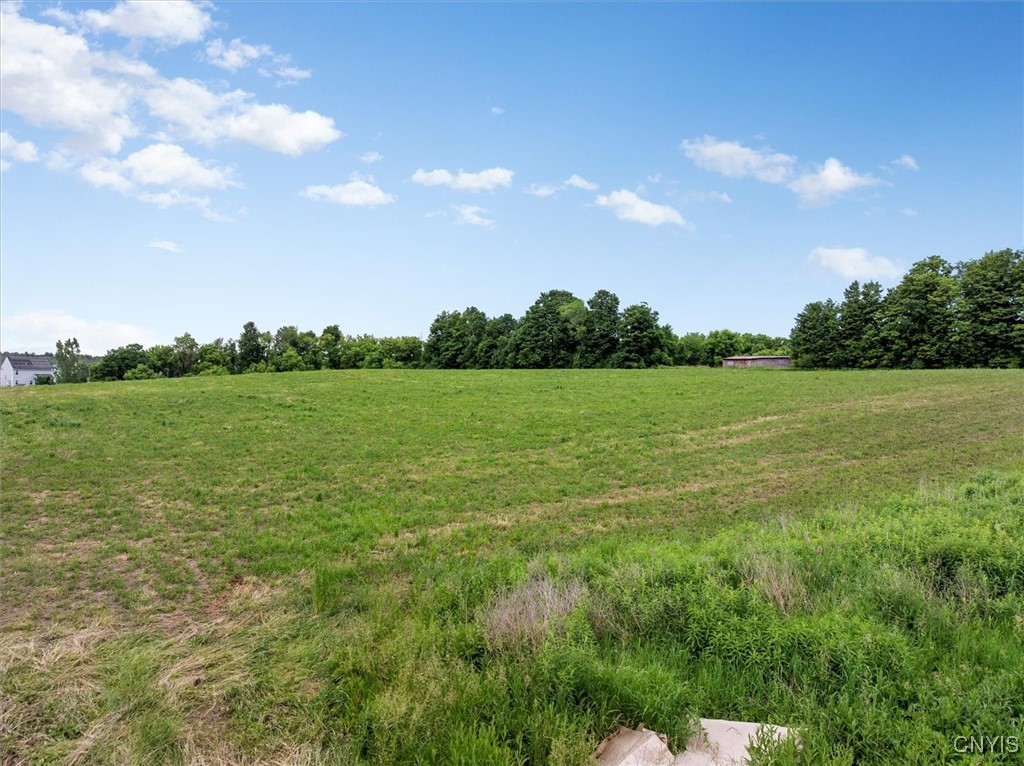 Lot 58 Genesee Sullivan, NY 13037 - Photo 2 of 13