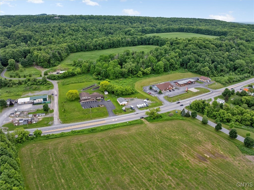 Lot 58 Genesee Sullivan, NY 13037 - Photo 6 of 13