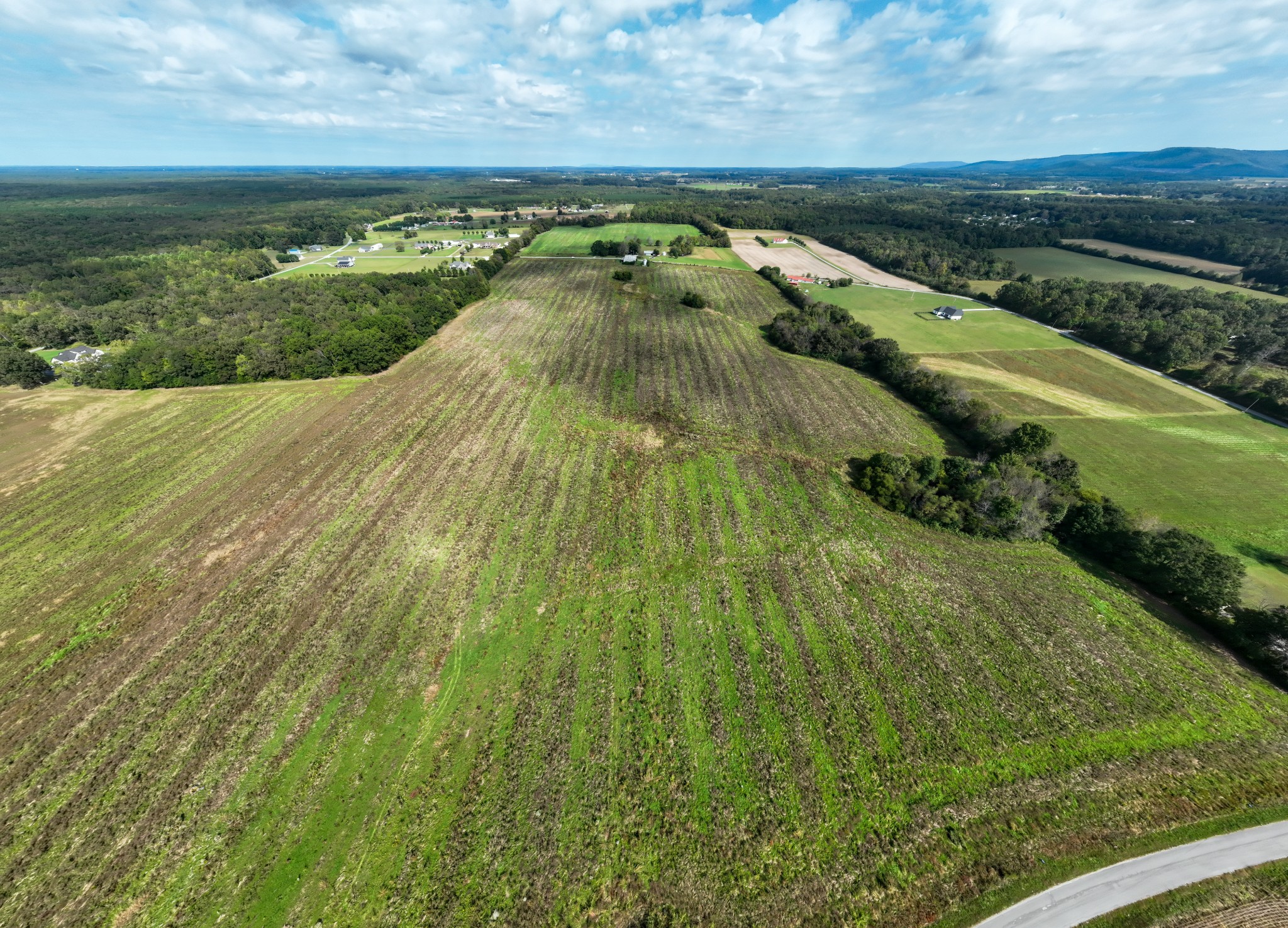 1 Newt Vanattia Road Hillsboro, TN 37342 - Photo 20 of 23 a view of a lake