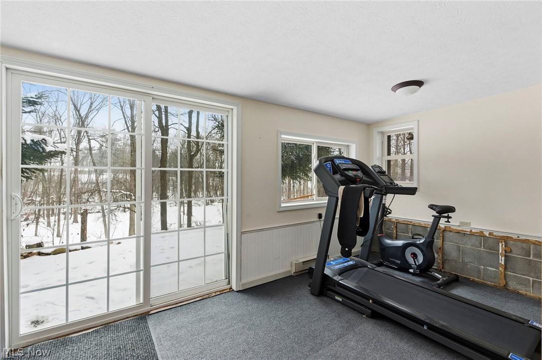 5352 Lance Road Medina, OH 44256 - Photo 37 of 43 Workout area with a wainscoted wall, carpet floors, and a textured ceiling