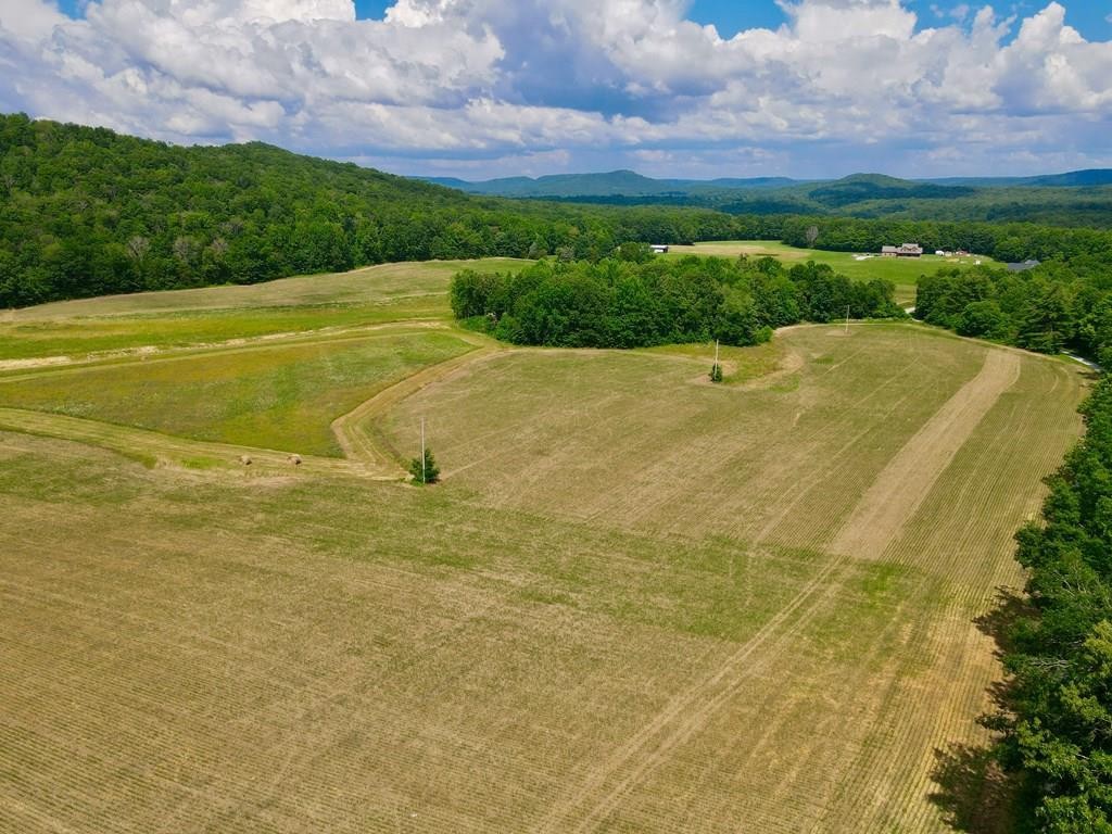 0 Thorn Gap Road Cookeville, TN 38506 - Photo 1 of 2