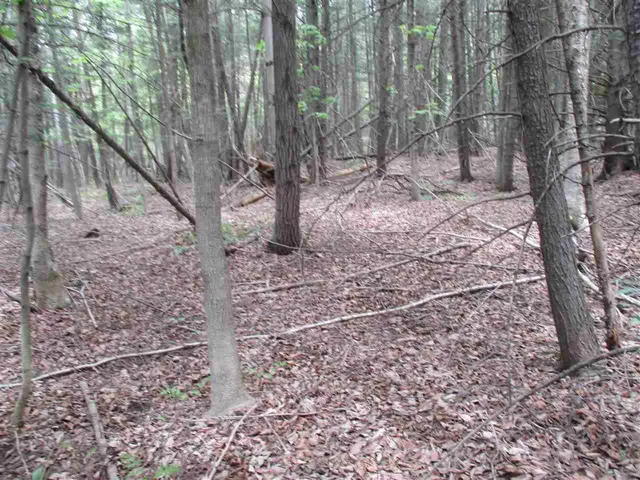 $82,500 | 0 Bettis Road, Randolph Center, VT 05061