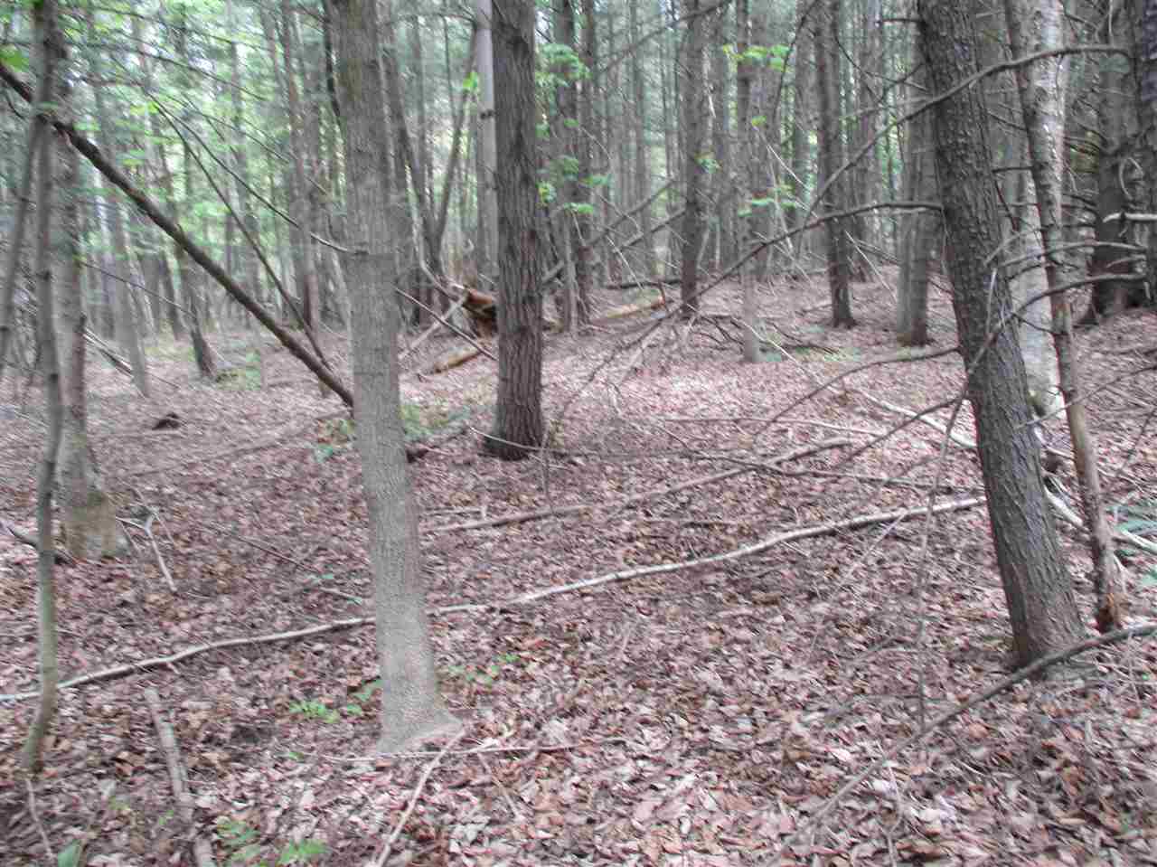 0 Bettis Road Randolph Center, VT 05061 - Photo 11 of 13