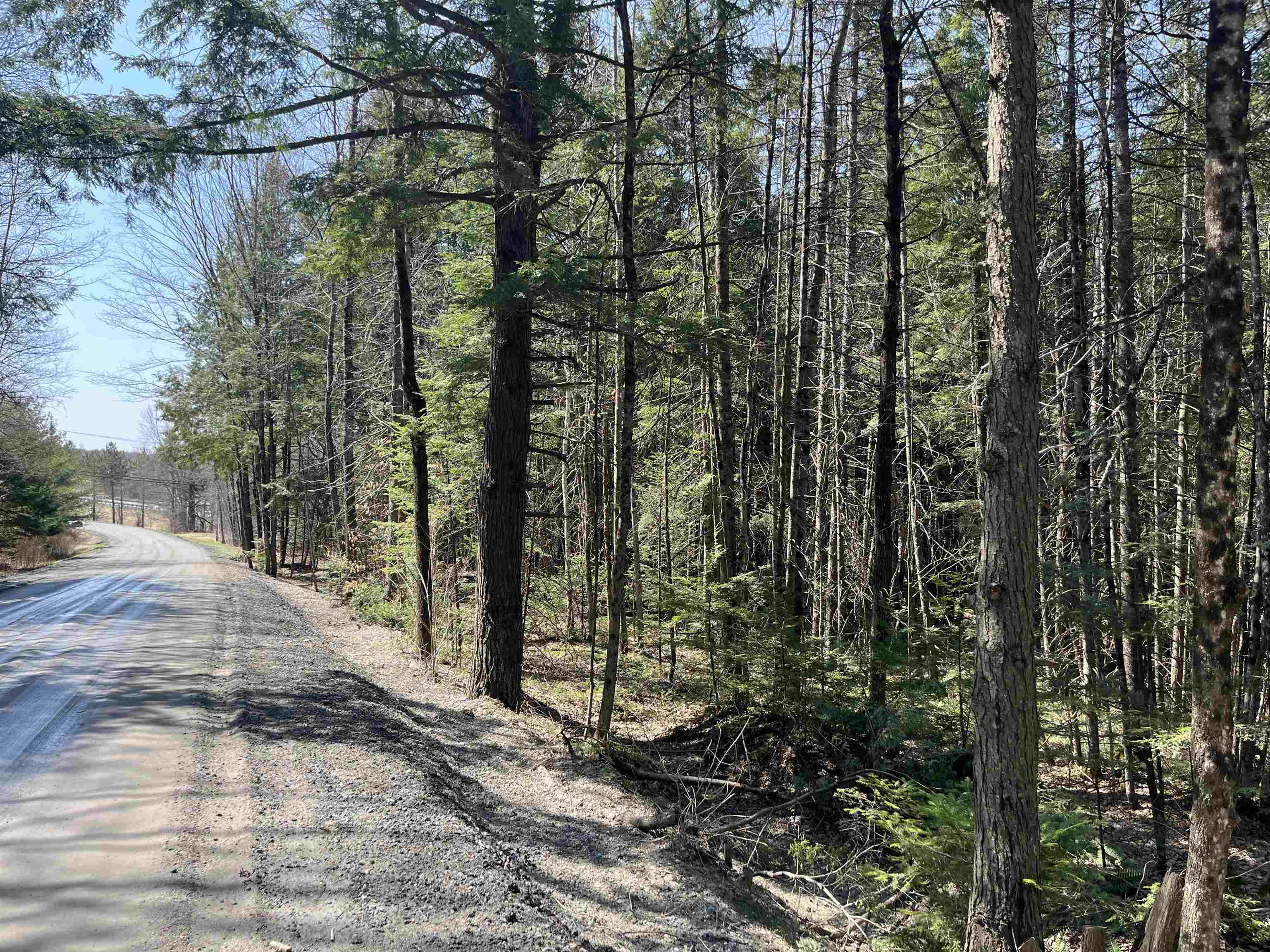 0 Bettis Road Randolph Center, VT 05061 - Photo 13 of 13