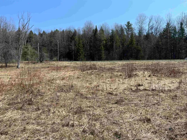 $82,500 | 0 Bettis Road, Randolph Center, VT 05061