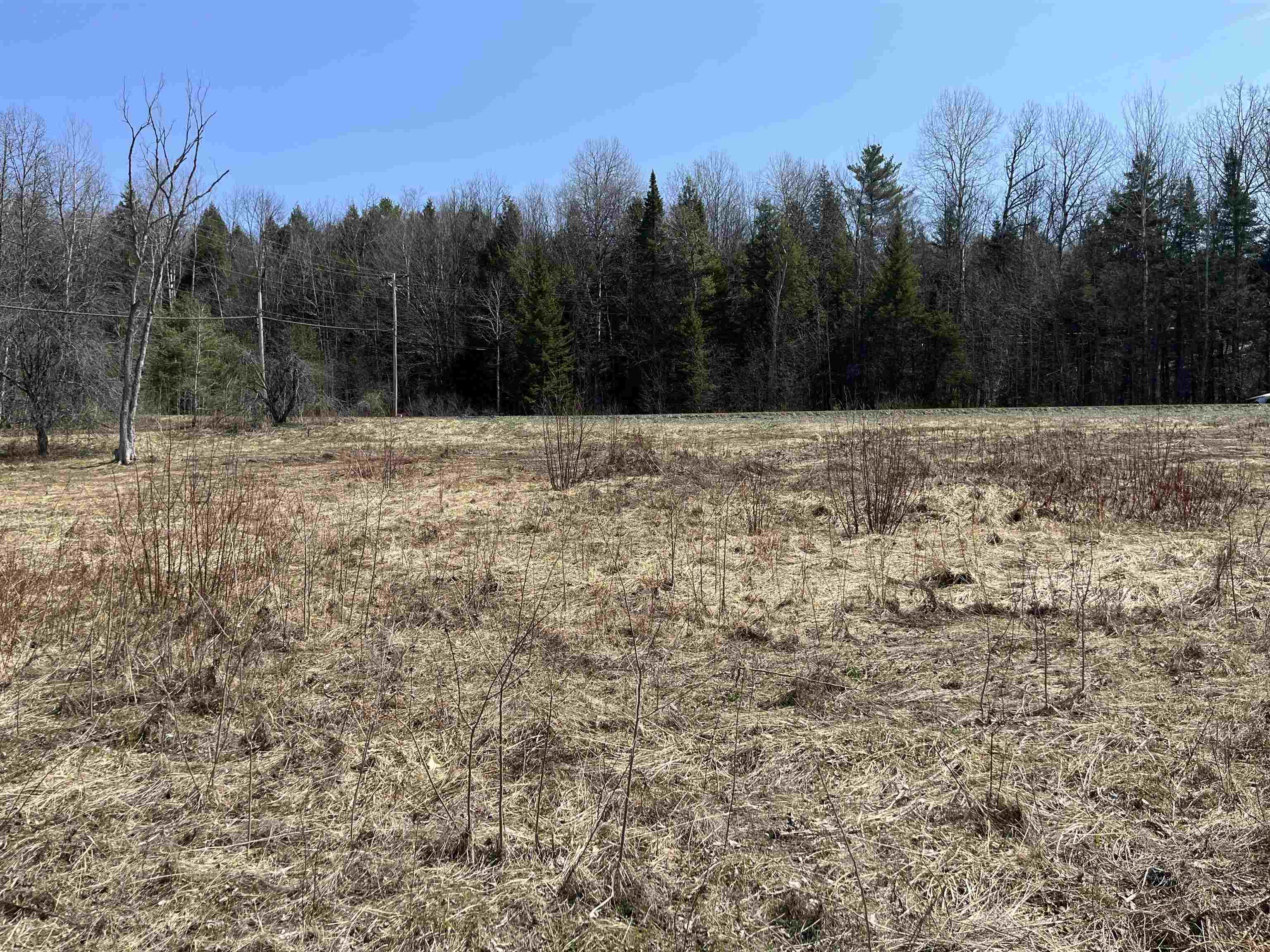 0 Bettis Road Randolph Center, VT 05061 - Photo 4 of 13