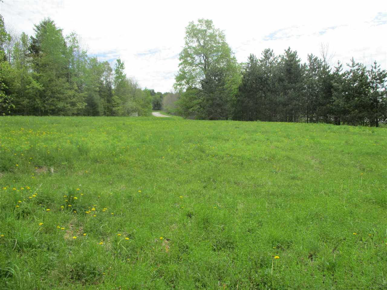 0 Bettis Road Randolph Center, VT 05061 - Photo 8 of 13