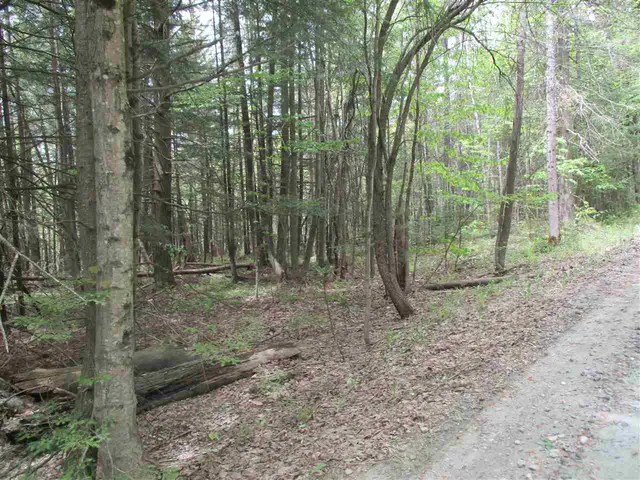$82,500 | 0 Bettis Road, Randolph Center, VT 05061