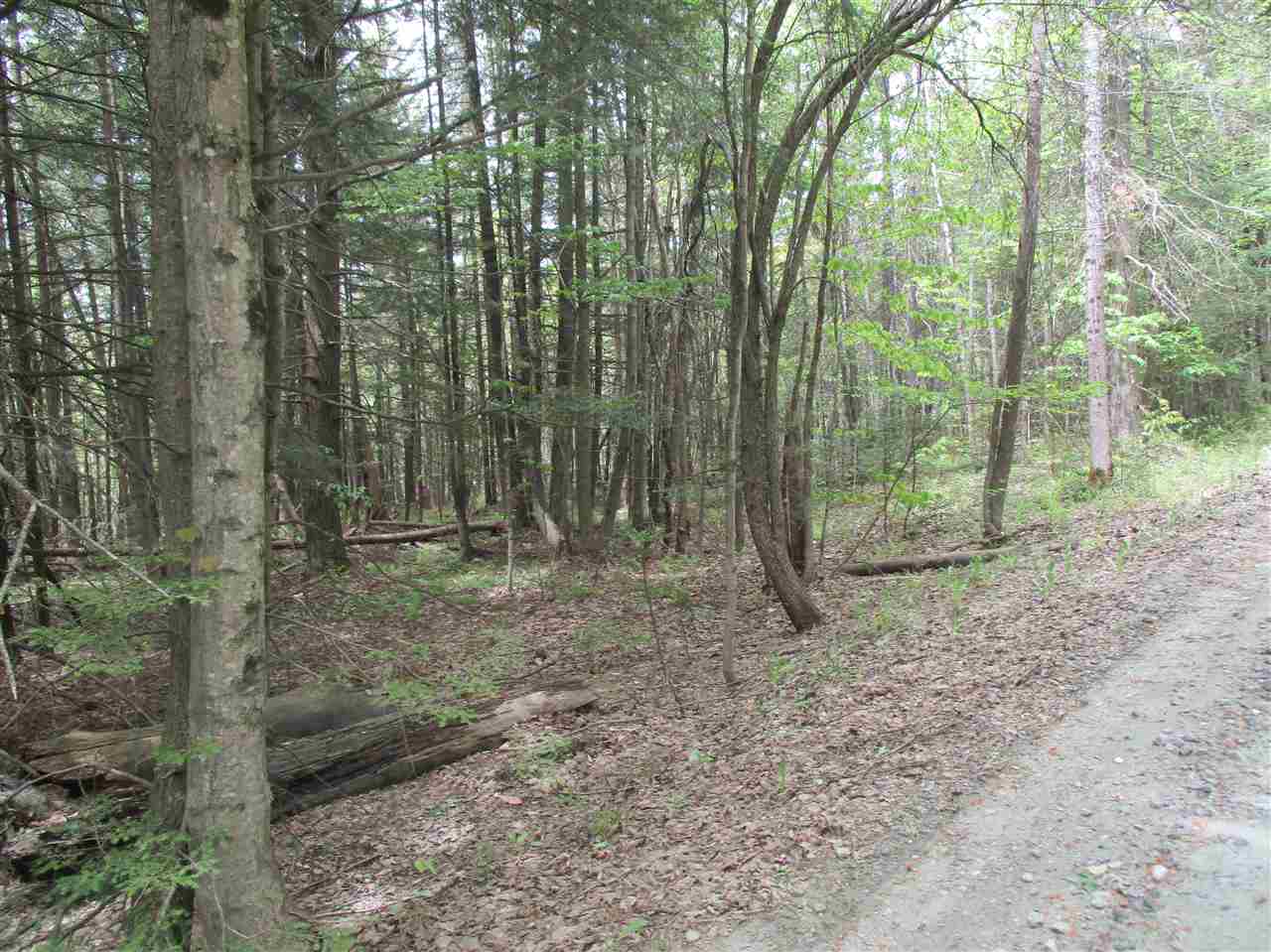 0 Bettis Road Randolph Center, VT 05061 - Photo 10 of 13