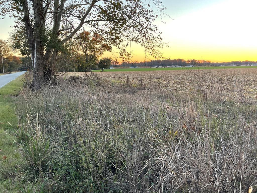 1365 Westbury Mill Road Sumter, SC 29153 - Photo 1 of 11