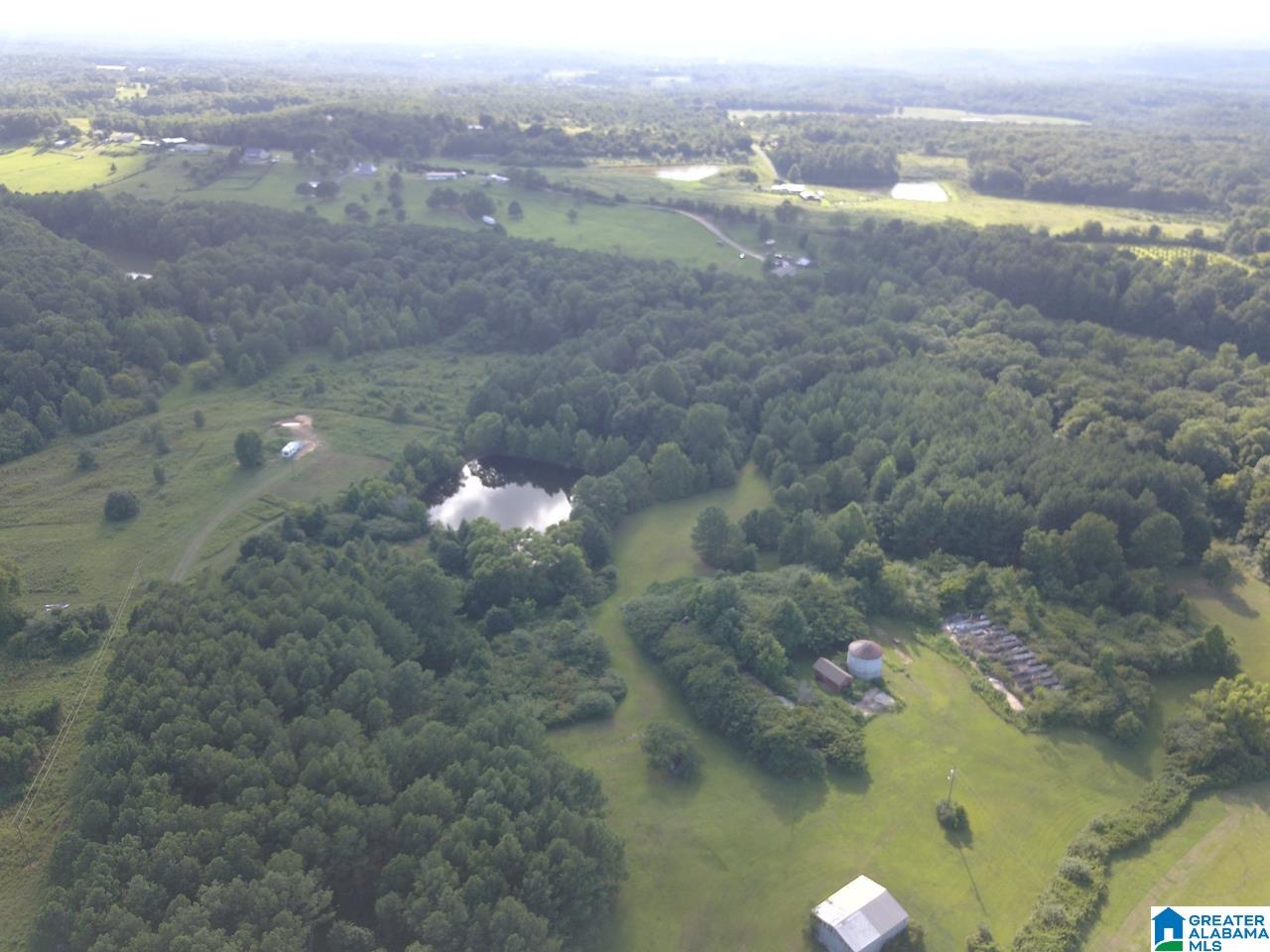5015 Highway 24 Springville Al Springville, AL 35146 - Photo 3 of 44