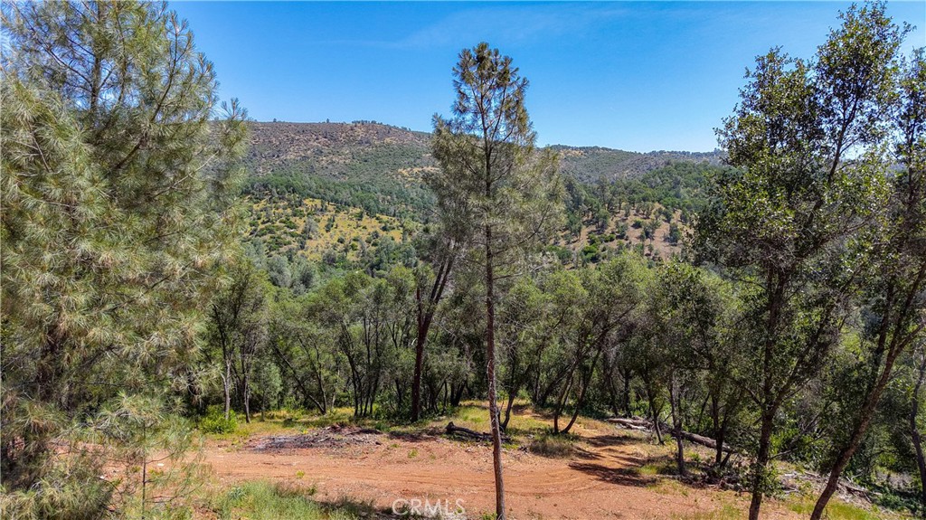 10 Miller Road Mariposa, CA 95338 - Photo 24 of 34 a view of a forest with a tree