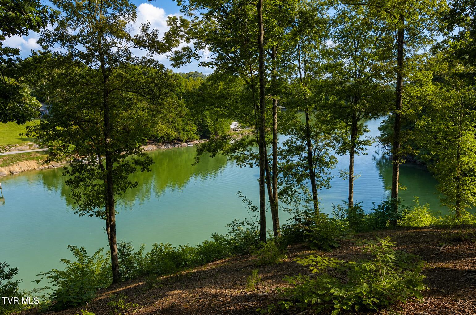 2294 Turkey Ridge Lane, Unit 14 Piney Flats, TN 37686 - Photo 3 of 9 32FE20CD-F5F8-40CF-8480-BA342188D620
