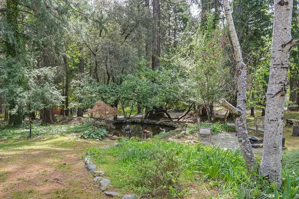 $539,000 | 14067 Linden Road, Grass Valley, CA 95945