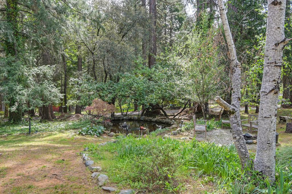 14067 Linden Road Grass Valley, CA 95945 - Photo 56 of 88