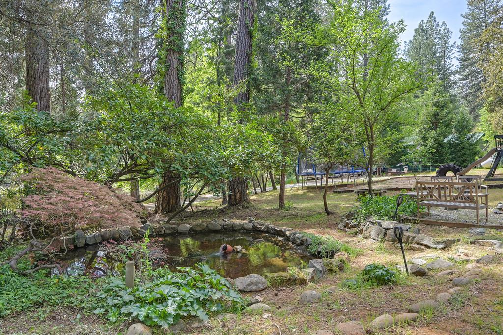 14067 Linden Road Grass Valley, CA 95945 - Photo 60 of 88