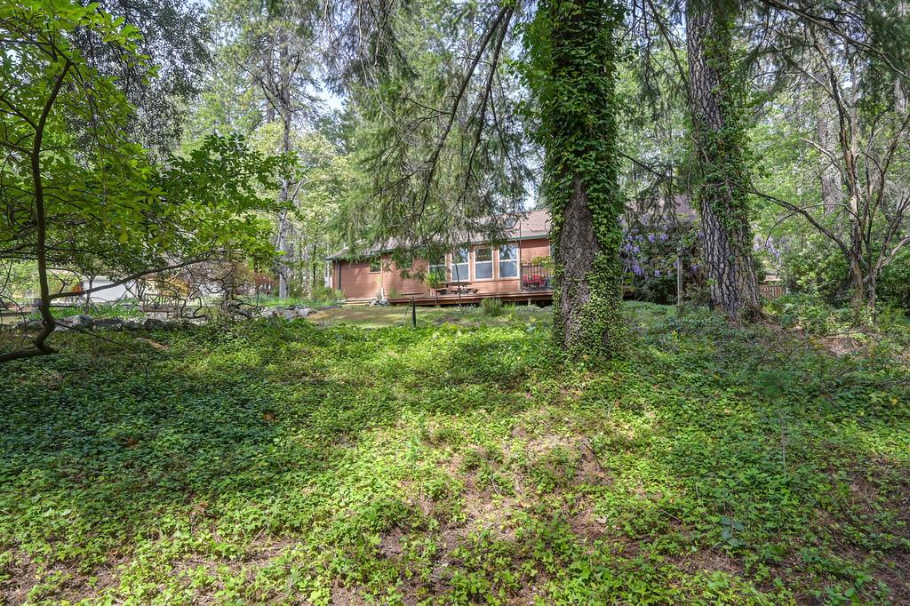 14067 Linden Road Grass Valley, CA 95945 - Photo 64 of 88