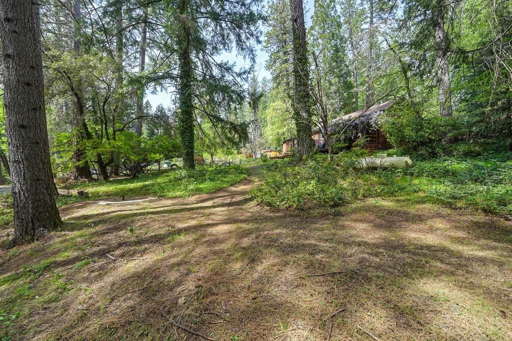 14067 Linden Road Grass Valley, CA 95945 - Photo 66 of 88