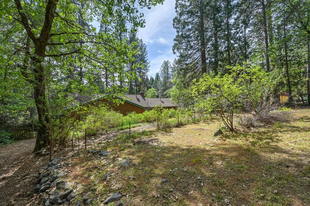14067 Linden Road Grass Valley, CA 95945 - Photo 76 of 88