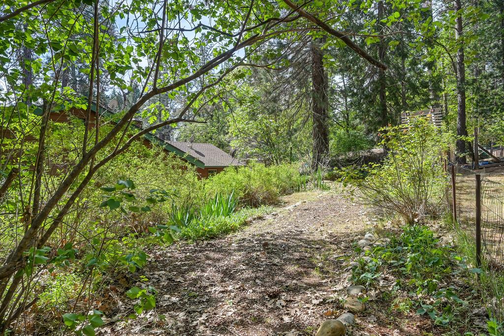 14067 Linden Road Grass Valley, CA 95945 - Photo 77 of 88