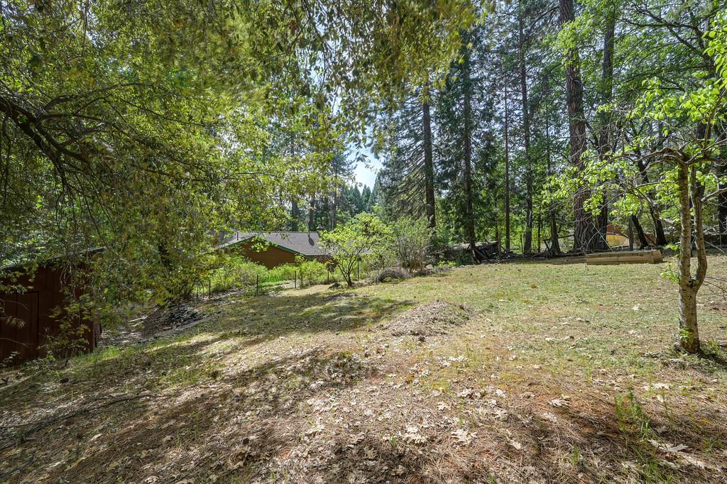 14067 Linden Road Grass Valley, CA 95945 - Photo 80 of 88