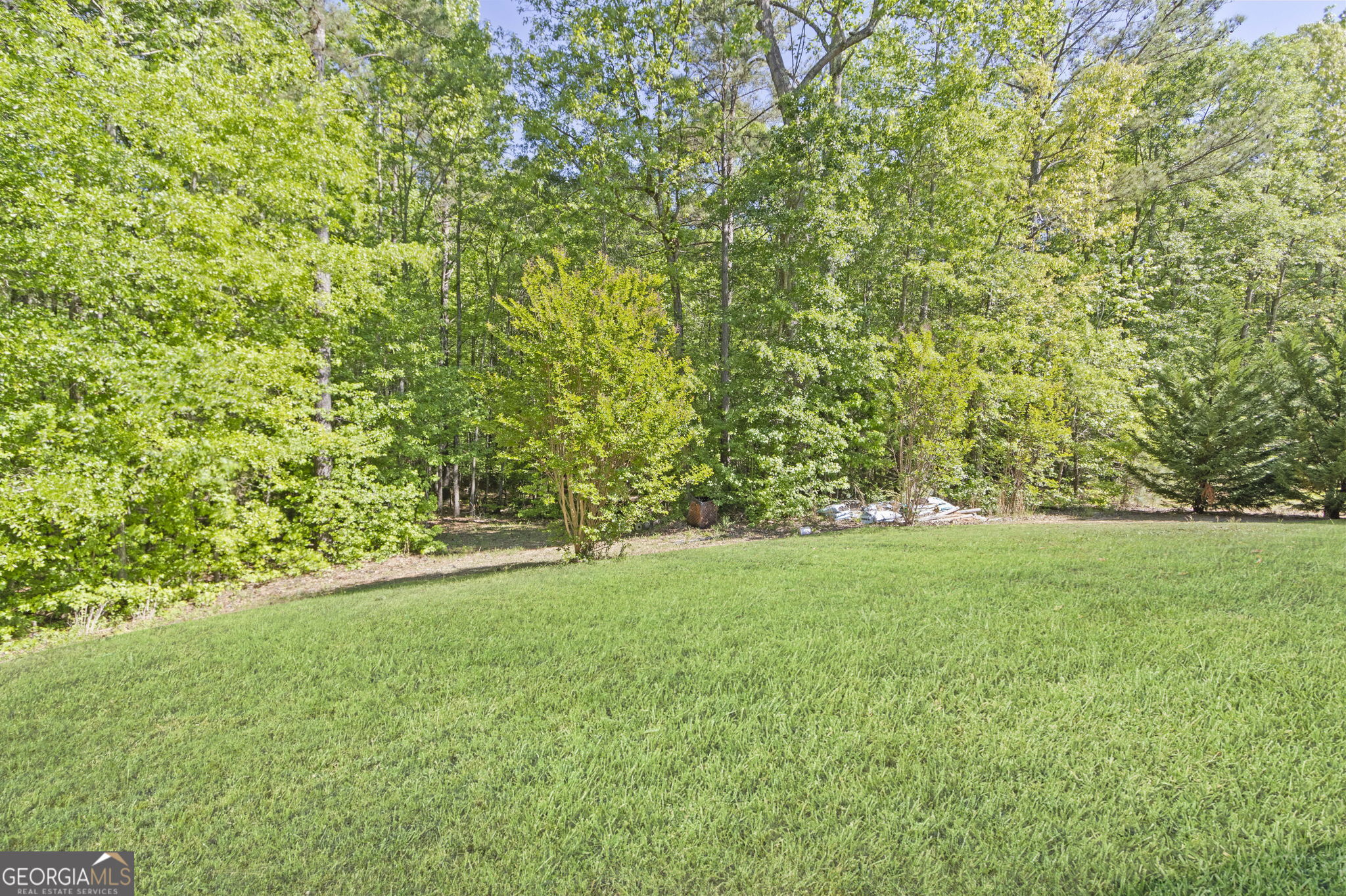 127 Austin Storey Circle Newnan, GA 30263 - Photo 29 of 34 a view of a yard with a trees