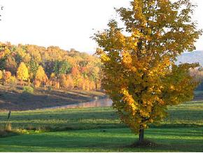 0 Hartman Hill Road Greene, NY 13778 - Photo 3 of 4