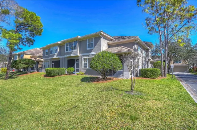 a view of a house with backyard and a tree