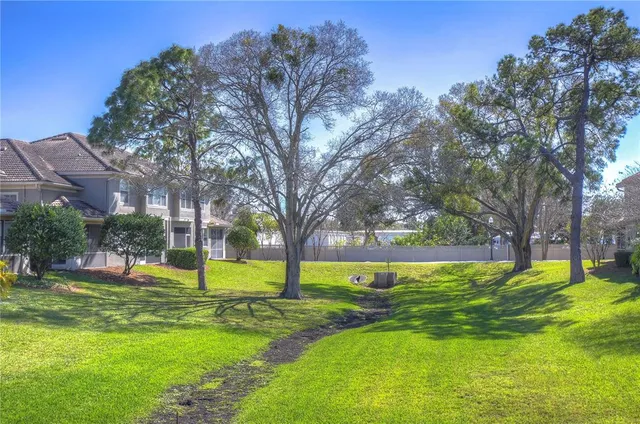a view of a yard with a house in the background