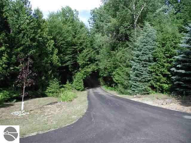 5919 Cook Road Benzonia, MI 49616 - Photo 4 of 9 1650580-3.JPG