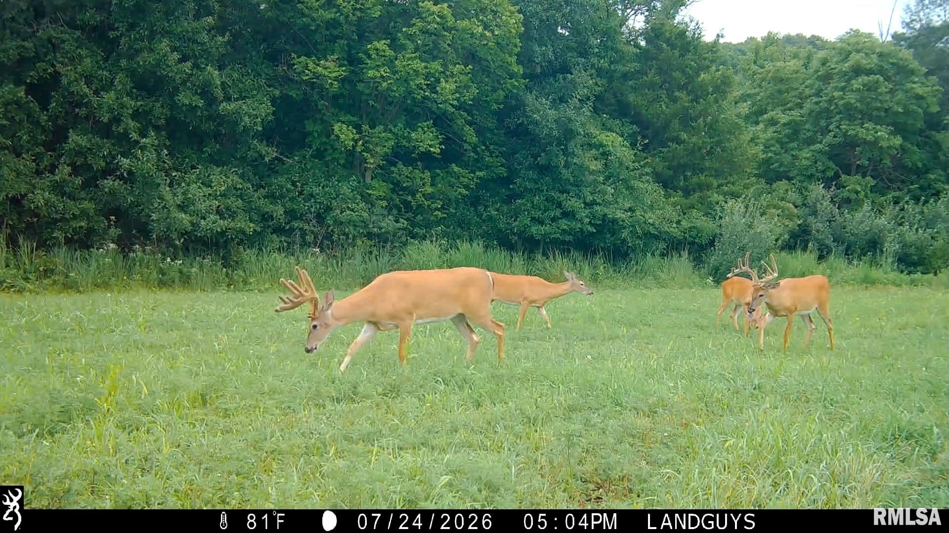 18881 East Hart Road Marietta, IL 61459 - Photo 62 of 62 Gallery Image 62
