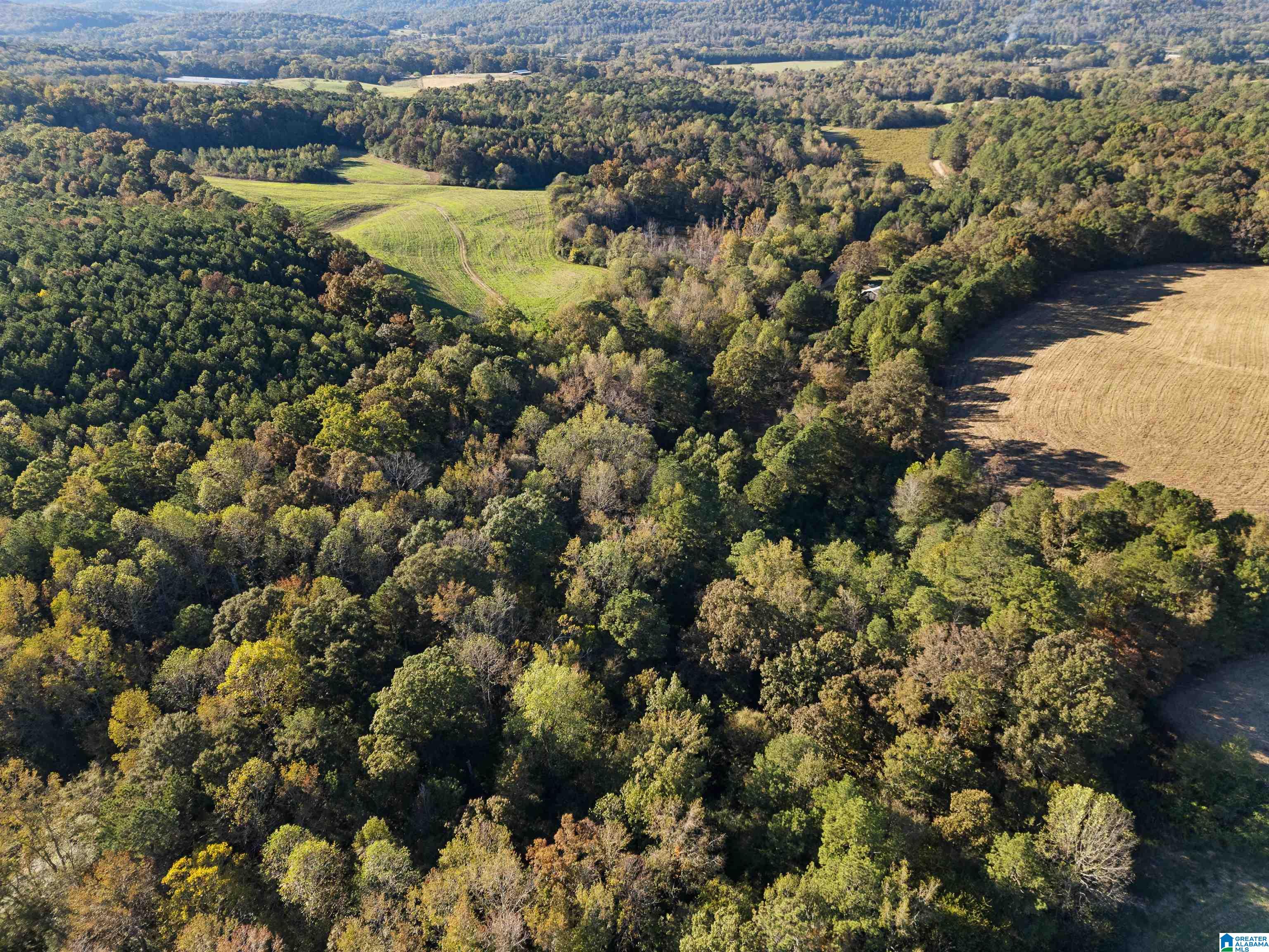550 Hale Creek Road Altoona, AL 35952 - Photo 49 of 54