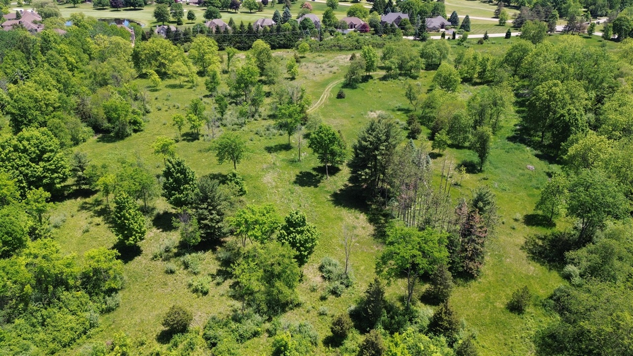 Travis Pointe Road Ann Arbor, MI 48103 - Photo 12 of 34 Gallery Image 12