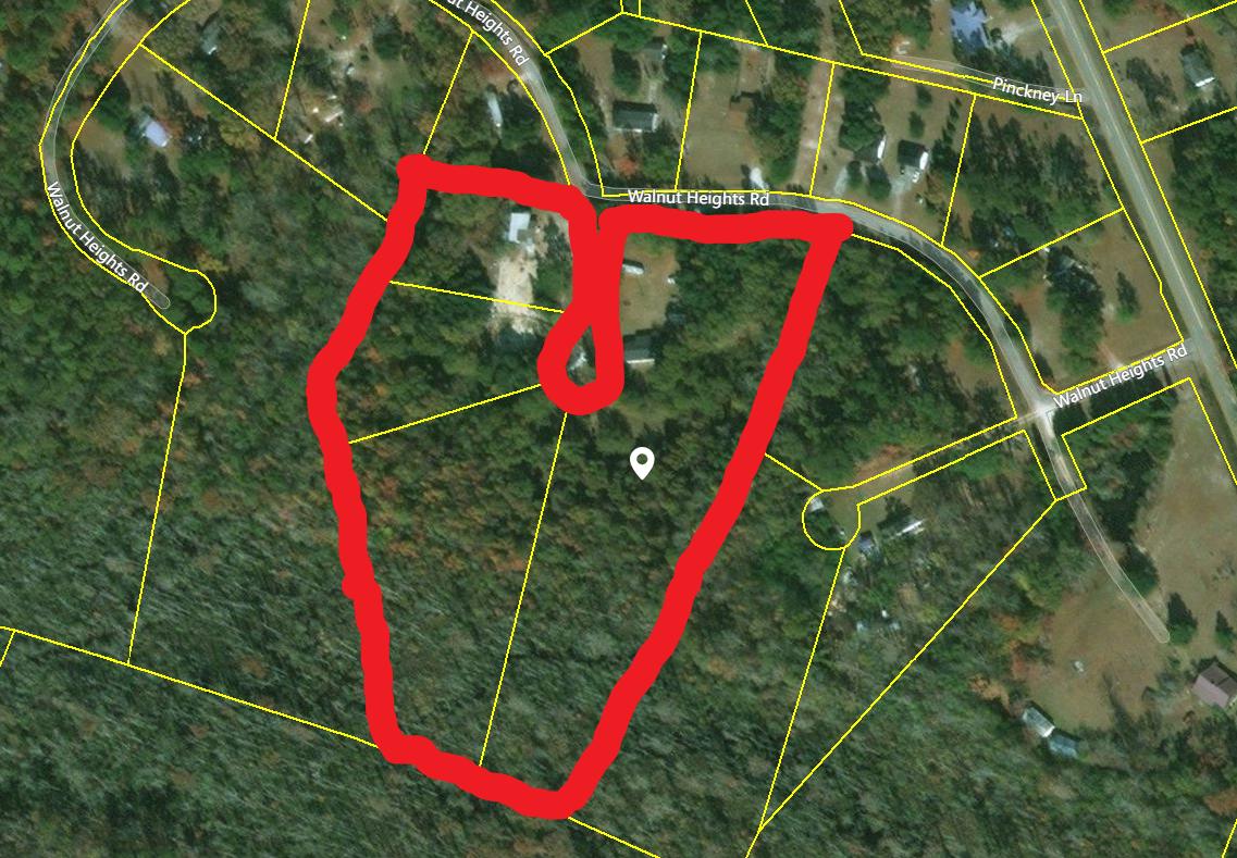 149 Walnut Heights Road Dorchester, SC 29437 - Photo 39 of 39 Satellite image of entire land for sale