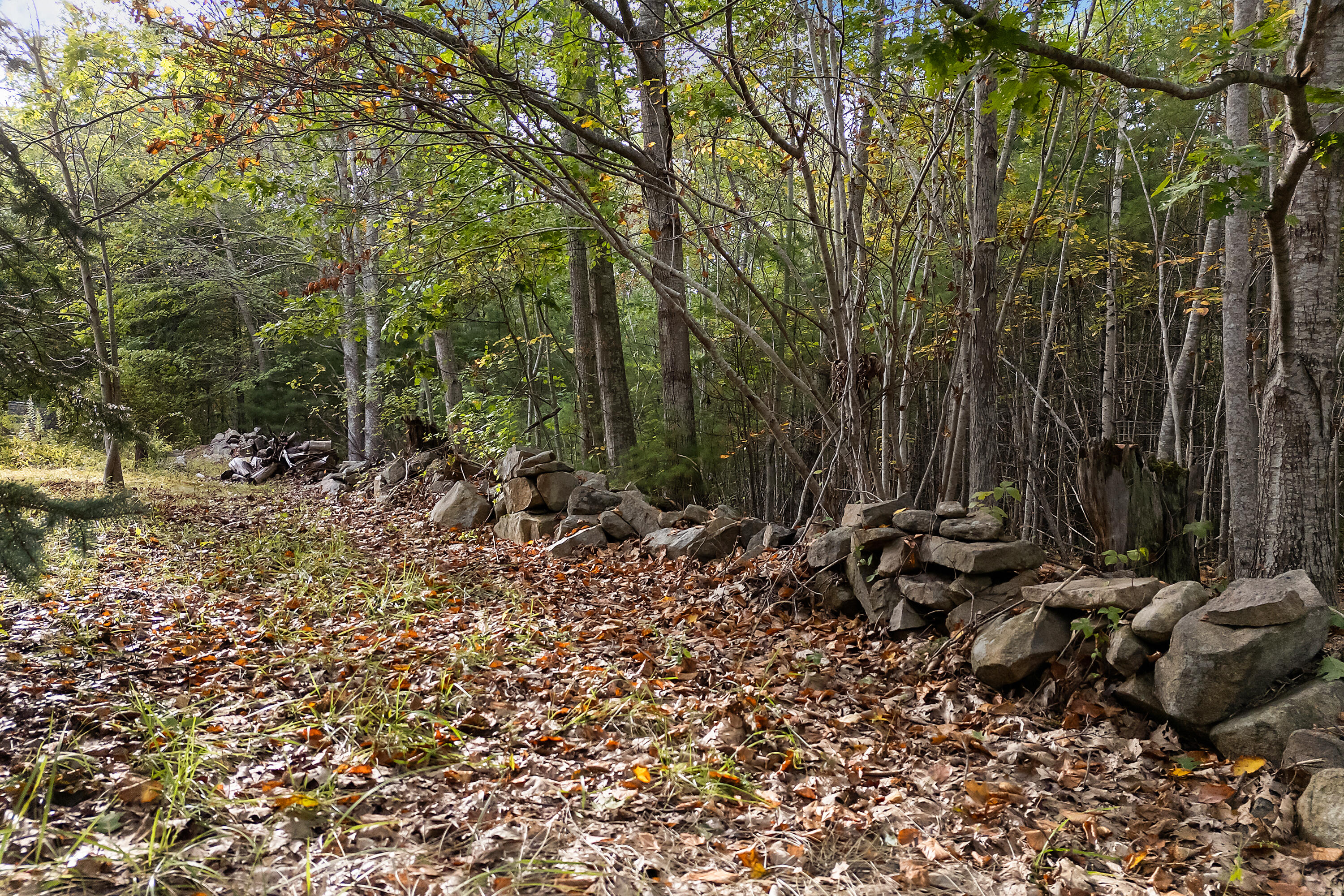 350 Pine Hill Road York, ME 03902 - Photo 11 of 24 350 Pine Hill Rd, Cape Neddick