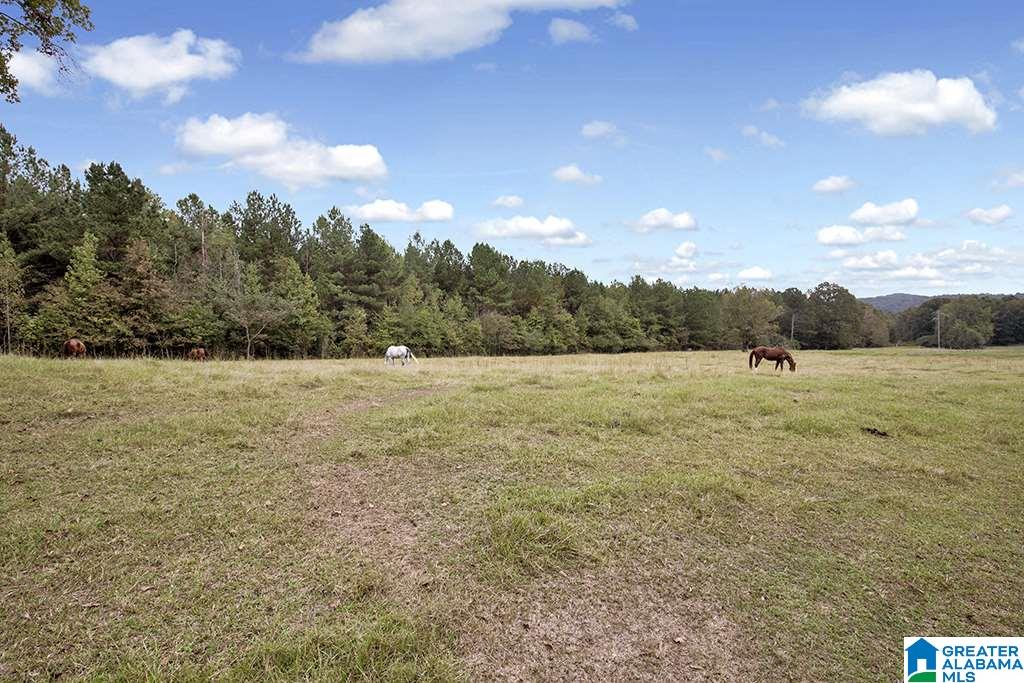 920 Alston Farm Road Columbiana, AL 35051 - Photo 50 of 50
