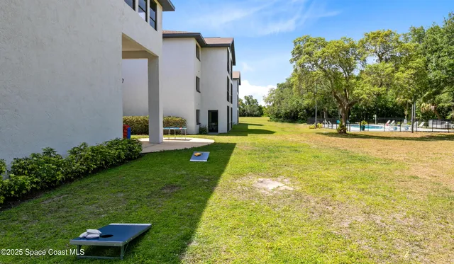 a view of a large trees with a big yard
