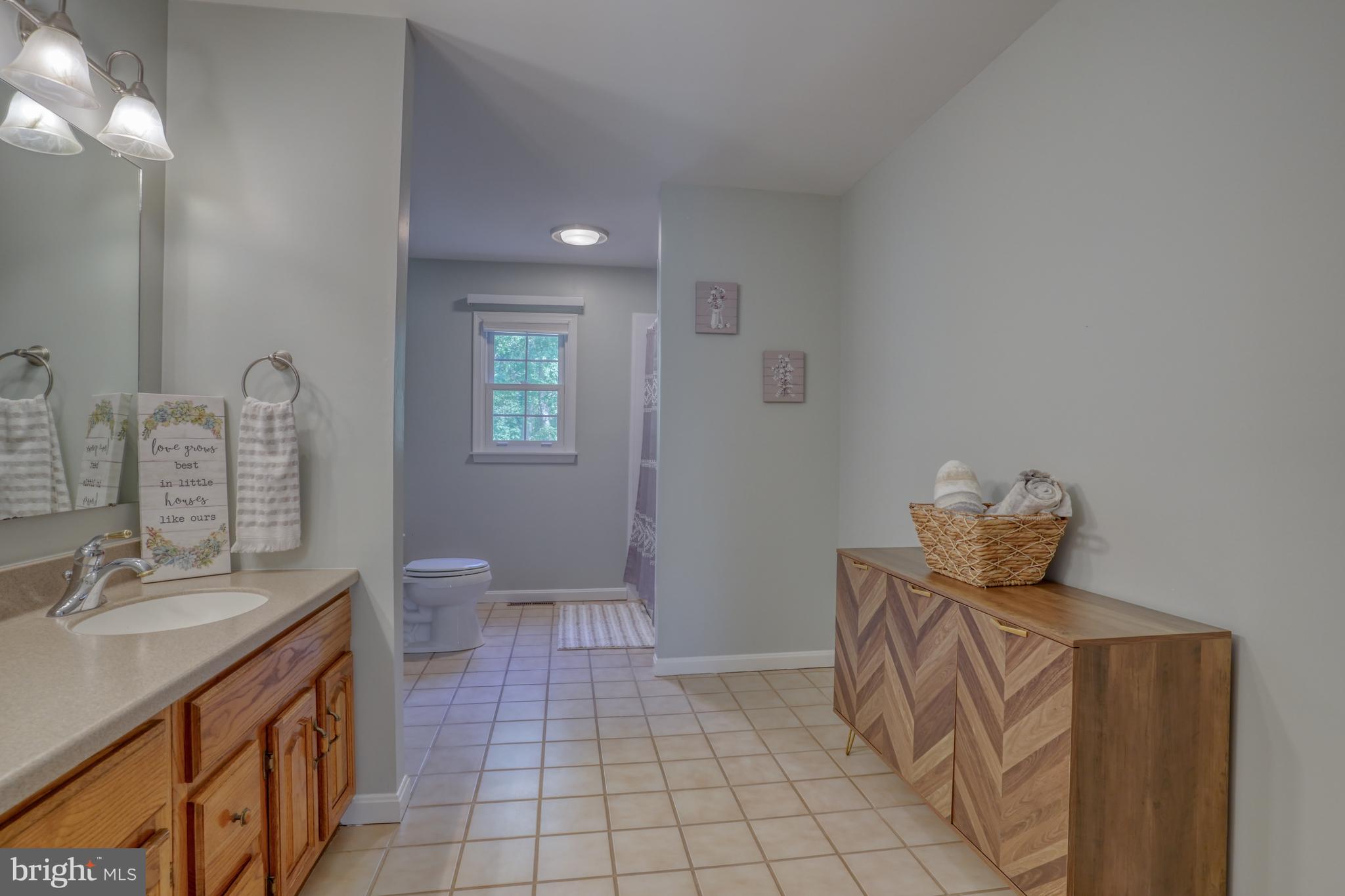 1051 Hartly Road Hartly, DE 19953 - Photo 42 of 47 a bathroom with a sink a toilet and mirror