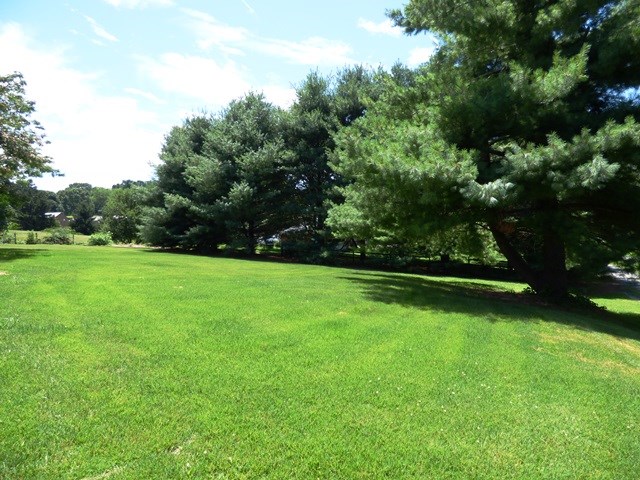 660 Ladd Road Fishersville, VA 22939 - Photo 37 of 40 a view of a field of grass and trees