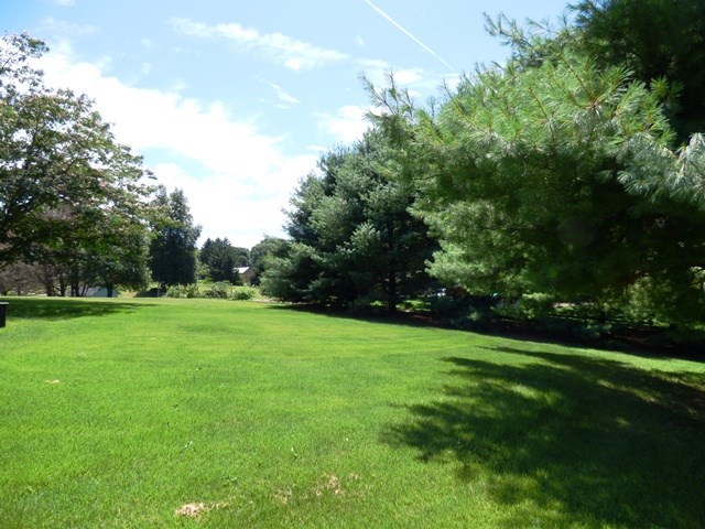 660 Ladd Road Fishersville, VA 22939 - Photo 38 of 40 a view of a grassy field with trees
